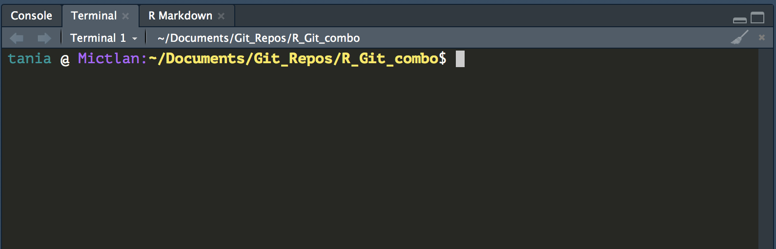 RStudio shell